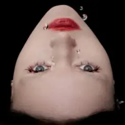 Обложка ШЫША - Ален Делон