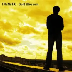 FReNeTIC - В ожидании чуда слушать онлайн