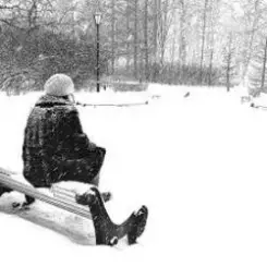 Обложка ЭЙВИ - Зима