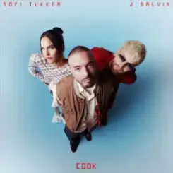 SOFI TUKKER & J Balvin - COOK слушать онлайн