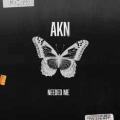 Обложка AKN - Needed Me