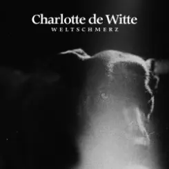 Charlotte De Witte - Lonesome слушать онлайн