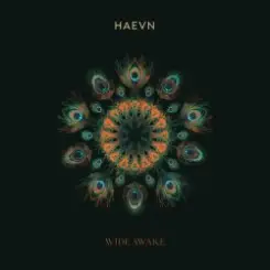 Обложка HAEVN & Lily Meola - Till the Morning