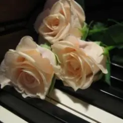 Обложка Василь Котович - Я ніколи нікому тебе не віддам