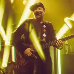 Обложка DJ Brownie - Party Foul