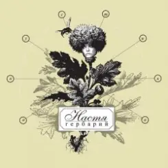 Обложка Владимир Шахрин ft. Настя Полева - Всему свое время