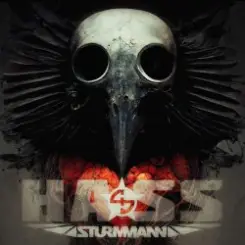 Sturmmann - Hass слушать онлайн