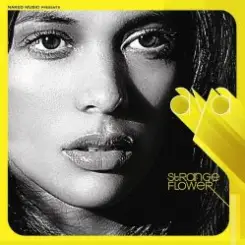 Обложка Aya - Curtain Call