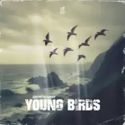 2 Phaze - Young Birds слушать онлайн