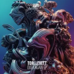 Tori Levett - Over Again слушать онлайн