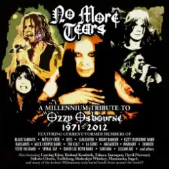 Обложка SOULSTORM - Mr. Crowley