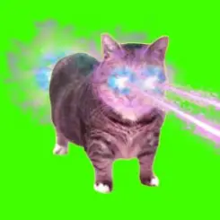 Обложка XertXetin - OIIA OIIA COSMIC CAT (Slowed)