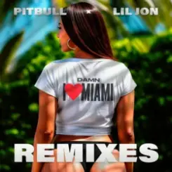 Pitbull & Lil Jon - Damn I Love Miami (JumpSmokers Remix) слушать онлайн