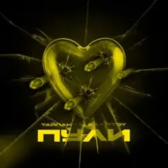 Обложка Тайпан feat. LI ZA & HYDY - Пули