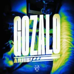 Обложка Ariis - Gozalo (Slowed)
