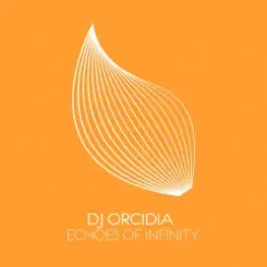 Обложка DJ Orcidia - Echoes Of Infinity (Extended Mix)