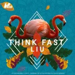 Обложка Liu - Think Fast