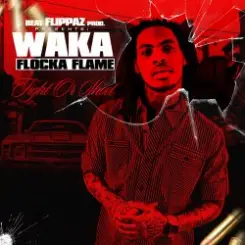 Обложка Waka Flocka Flame - Introduction Fight