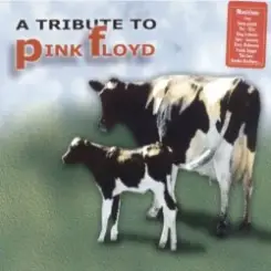 Billy Sherwood, Chris Squire, Alan White - Comfortably Numb слушать онлайн