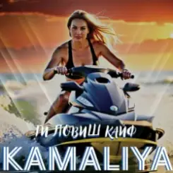 Обложка Камалия - Ти ловиш кайф
