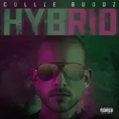 Обложка Hybrid - Break My Soul