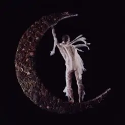 Обложка Smerz - Max