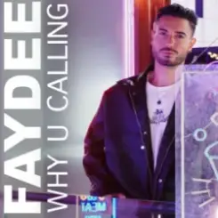 Обложка Faydee - Why U Calling