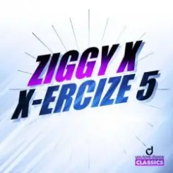 Обложка Ziggy X - Vikinx