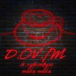 Обложка D.OV./M - 35
