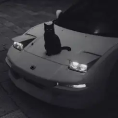 supwel - "not alone" (chill, wave vibe) слушать онлайн