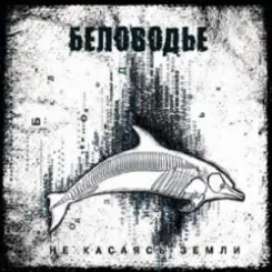 Обложка Беловодье - Зима