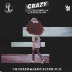 Lost Frequencies & Zonderling - Crazy слушать онлайн