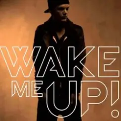 Avicii feat. Aloe Blacc - Wake Me Up слушать онлайн