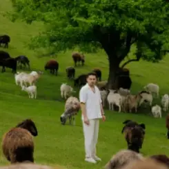 Обложка ХАС - Досі живий