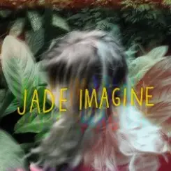 Обложка Jade Imagine - Stay Awake