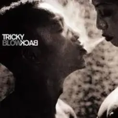 Обложка Tricky - Diss Never