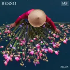 Обложка Besso - Zelda
