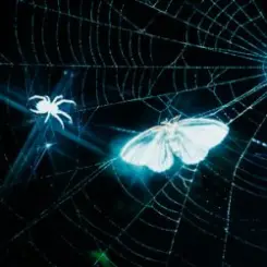 Обложка MOTHICA - TOXINS (HEAVY REMIX)