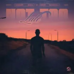 Edward Maya & Adem Bogoceli - Not Too Late слушать онлайн