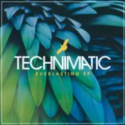 Technimatic - Not Far To Go (Mixed) слушать онлайн