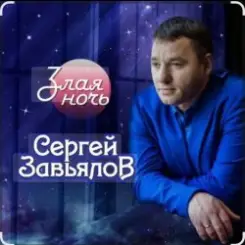 Обложка Сергей Завьялов - Злая ночь