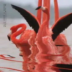 Felix Jaehn feat. Shouse - Walk With Me (Edit) слушать онлайн