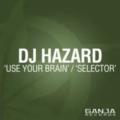 Обложка Dj Hazard - Use Your Brain