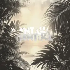 Обложка Repsaj - MONTAGEM CONTIGO (Speed Up)