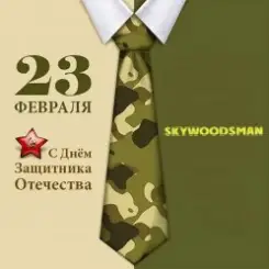 Обложка Dr.skywoodsman - 23 февраля