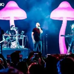 Обложка Infected Mushroom - Mixed by G Light live mix from Exotica Gold