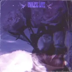 Обложка Taz-187 feat. Apxche94 & Wrxckmane - Endless Love