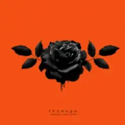 Обложка kavabanga Depo kolibri - Троянди