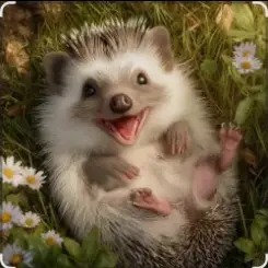 Настоящий Мужчина - Эй с*чка ты колючая колючка слушать онлайн