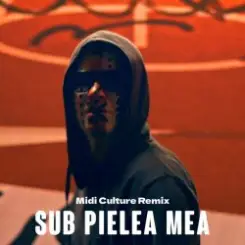 Carla`s Dreams - Sub pielea mea (Midi Culture Remix) слушать онлайн